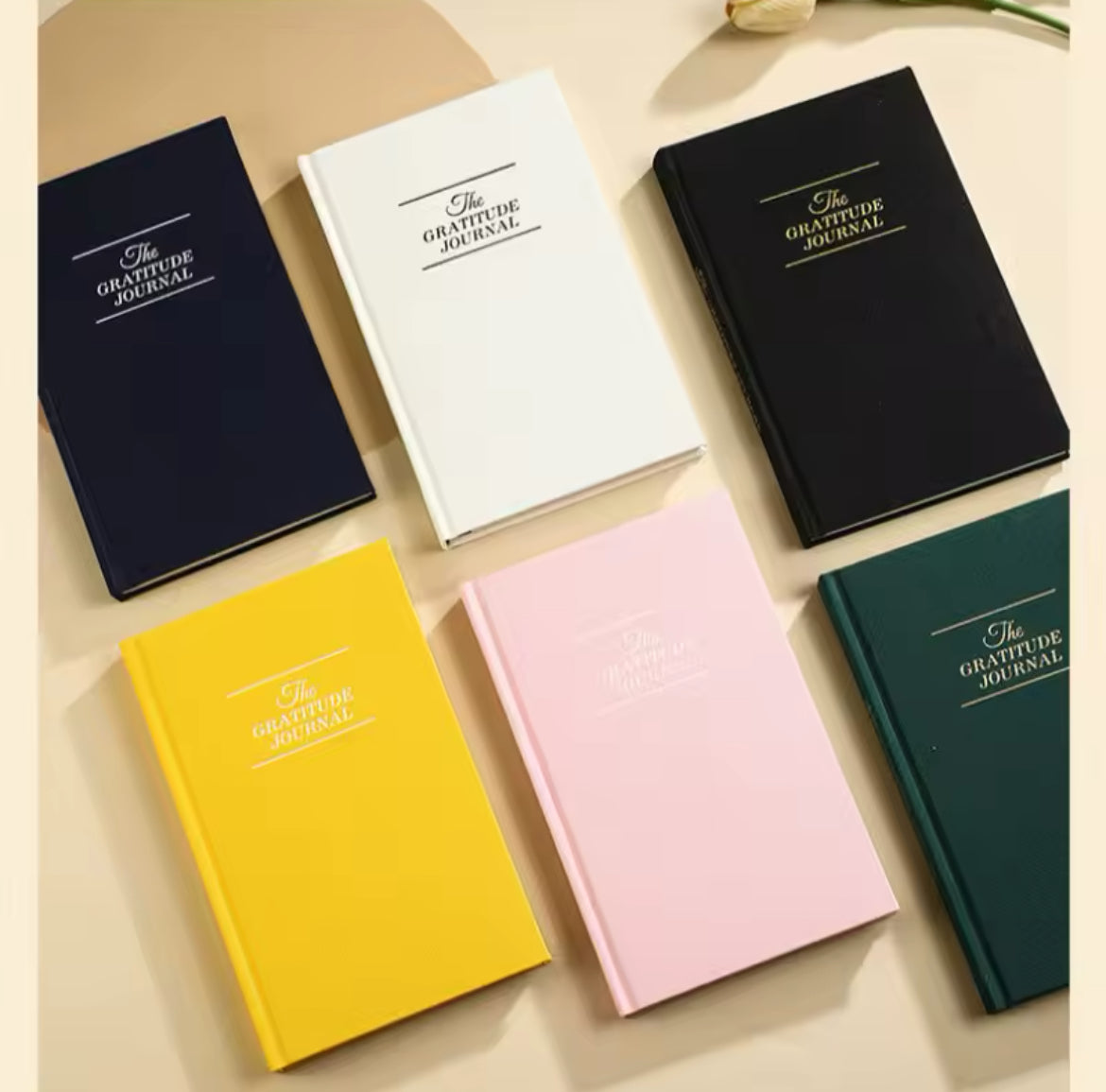 Day by day journal